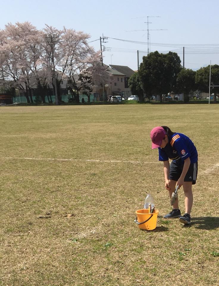 入間タンポポ狩り