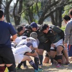 三送会紅白戦 三送会紅白戦